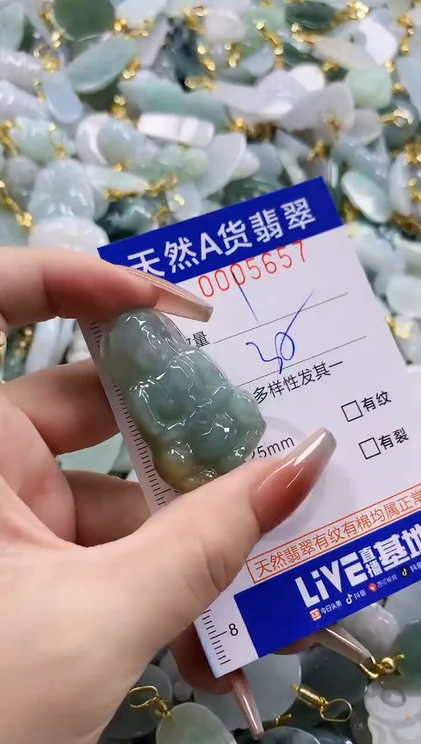 颈饰未镶嵌翡翠天然A货翡翠