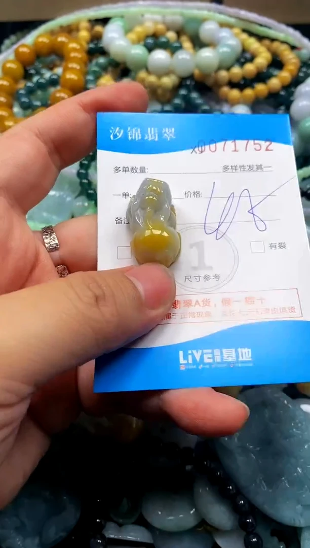 颈饰未镶嵌翡翠闪购商品0071752