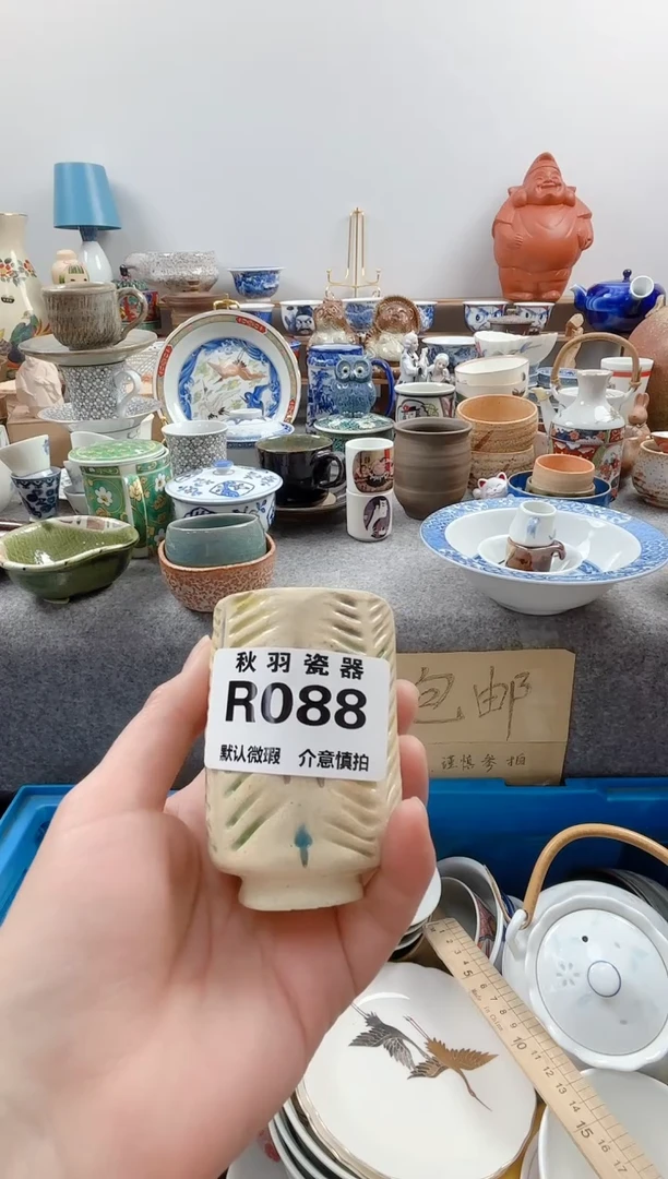 日式杭*默认微瑕秋羽R088