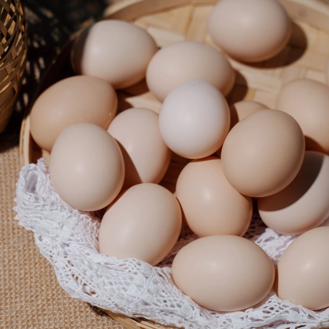 农家散养土鸡蛋新鲜健康山林纯五谷喂养可生食鸡蛋孕妇蛋
