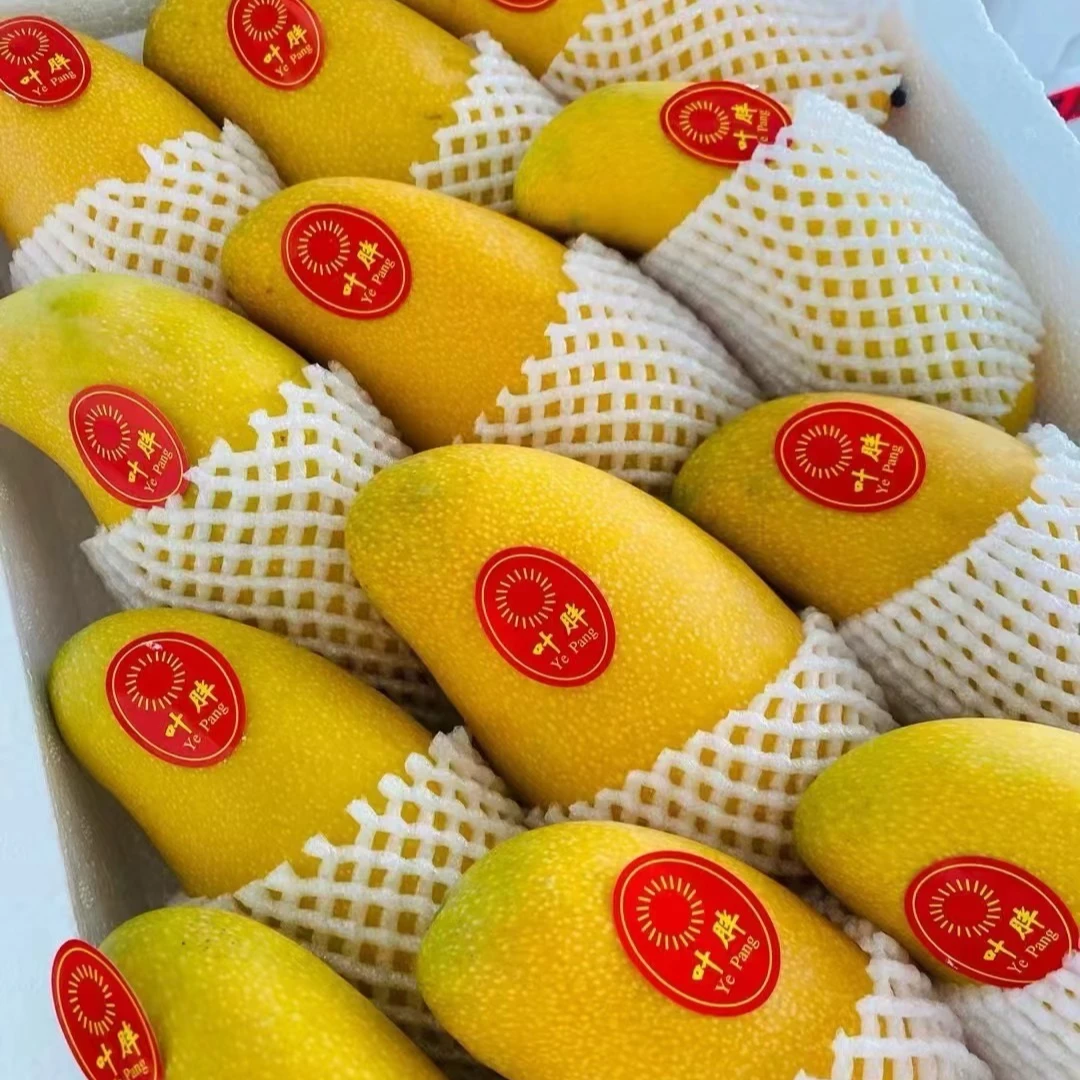 新鲜水仙芒一个装/约500g左右