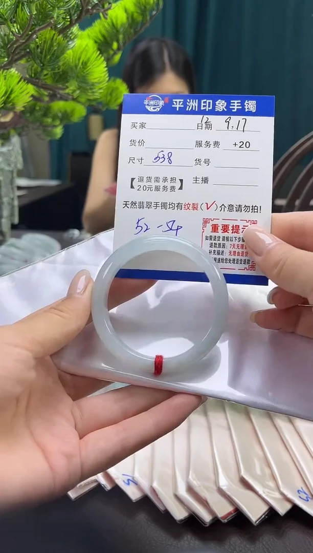 未镶嵌手镯翡翠(有鉴赏期)12
