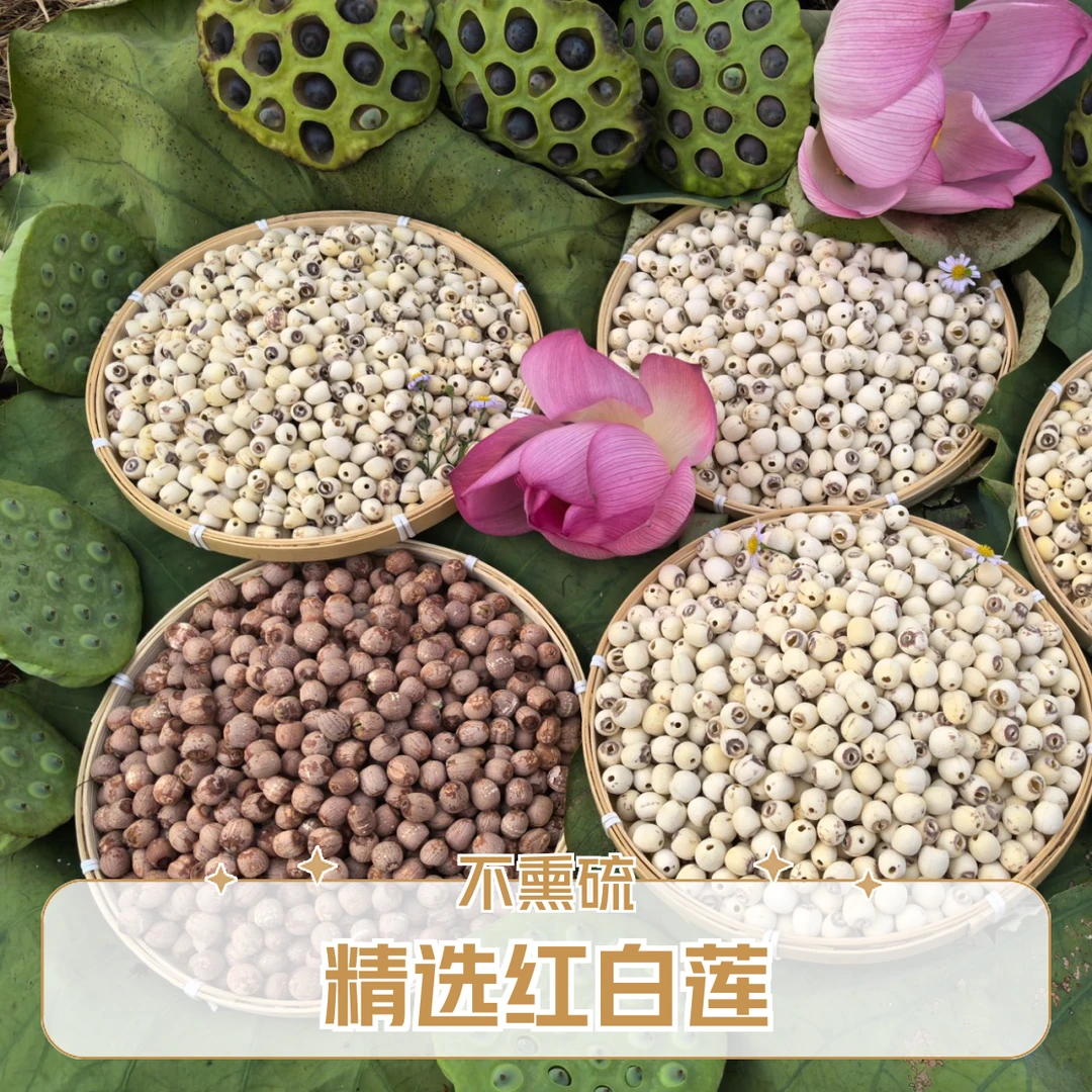 正宗湖南土特产农村红白莲子磨皮去芯干货莲子煲汤甜品