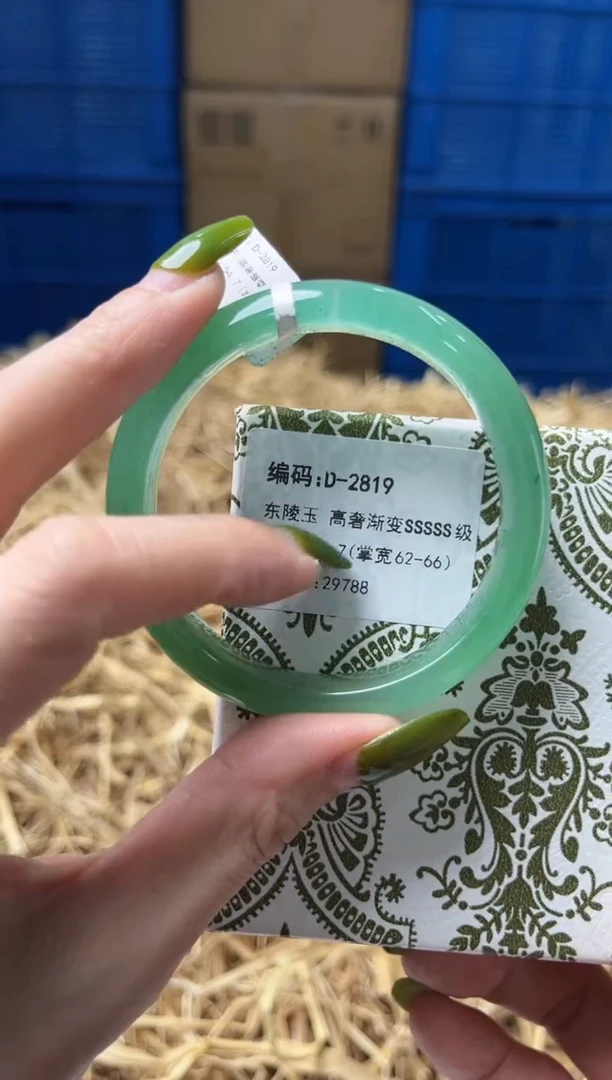 未镶嵌手镯石英质玉D2819