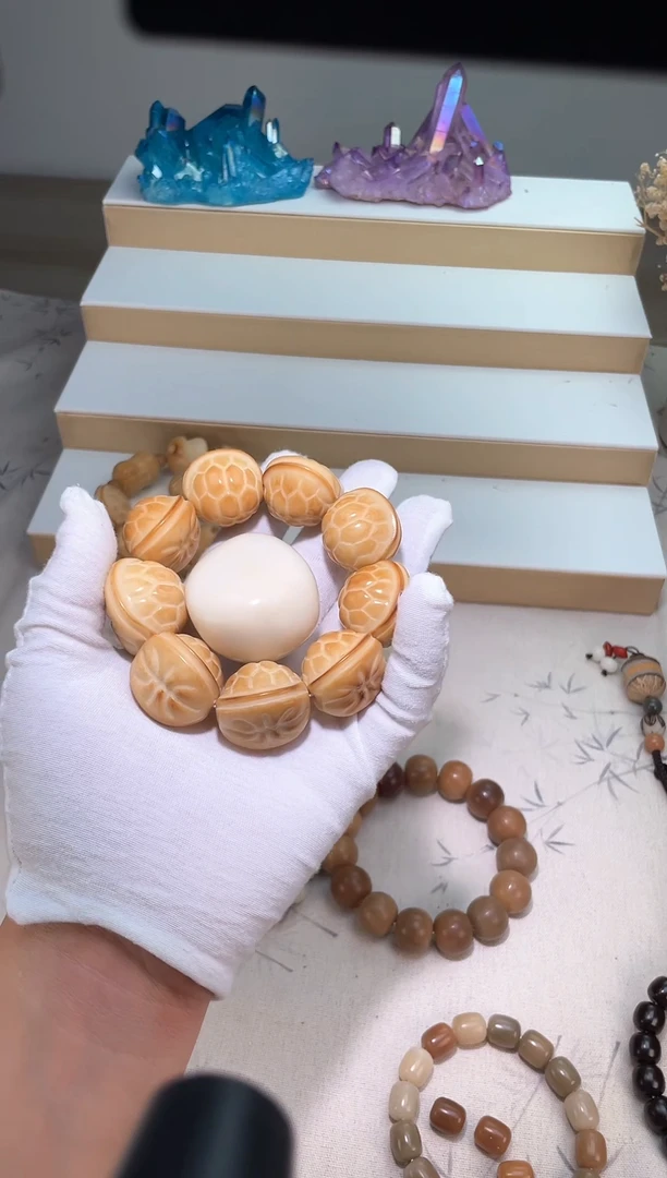 手串菩提根/象牙果象牙果