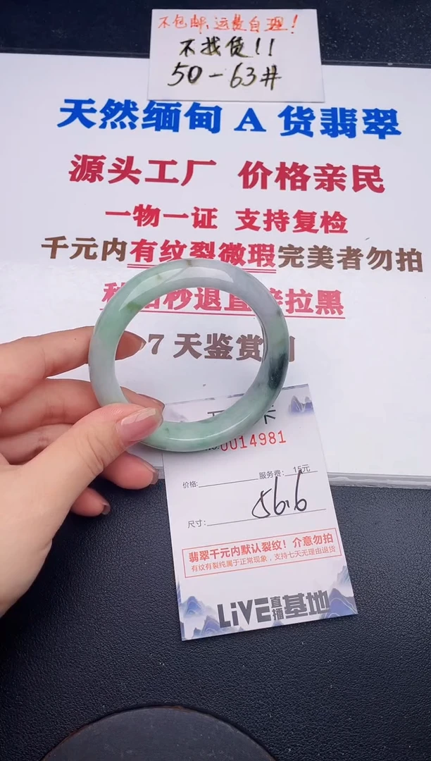 未镶嵌手镯翡翠81