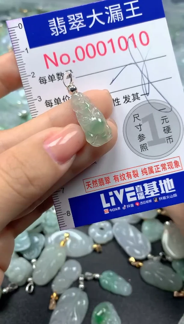 颈饰未镶嵌翡翠1010