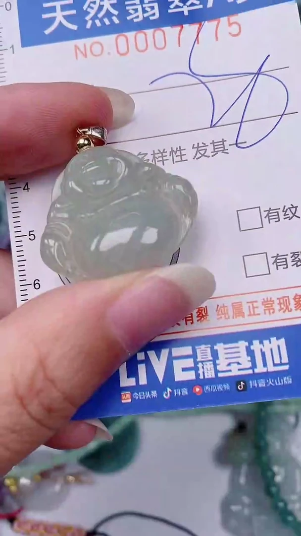 翡翠未镶嵌颈饰00007775