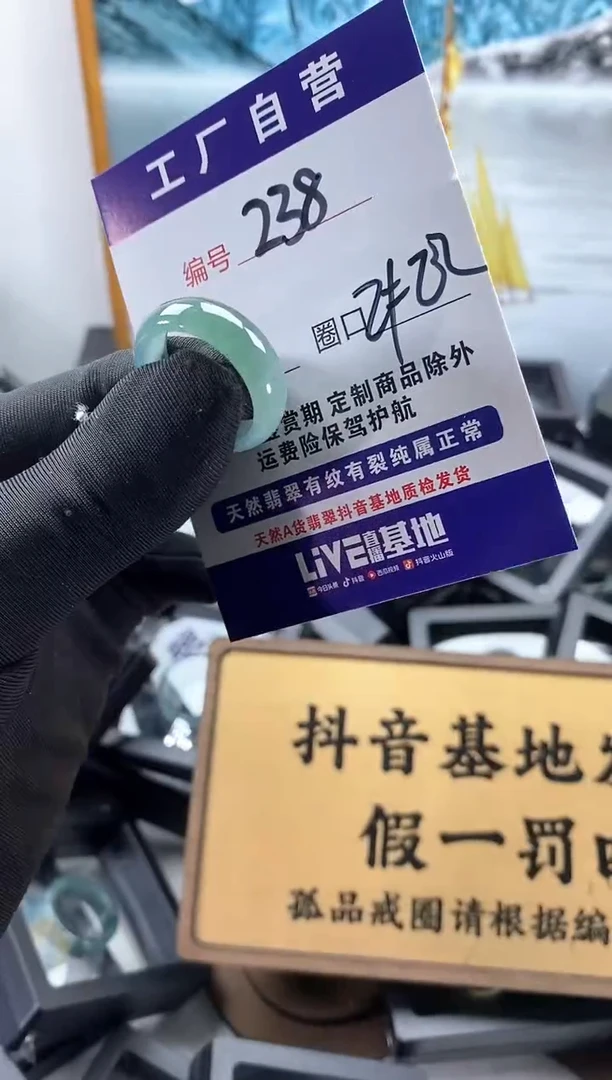 未镶嵌戒圈翡翠238
