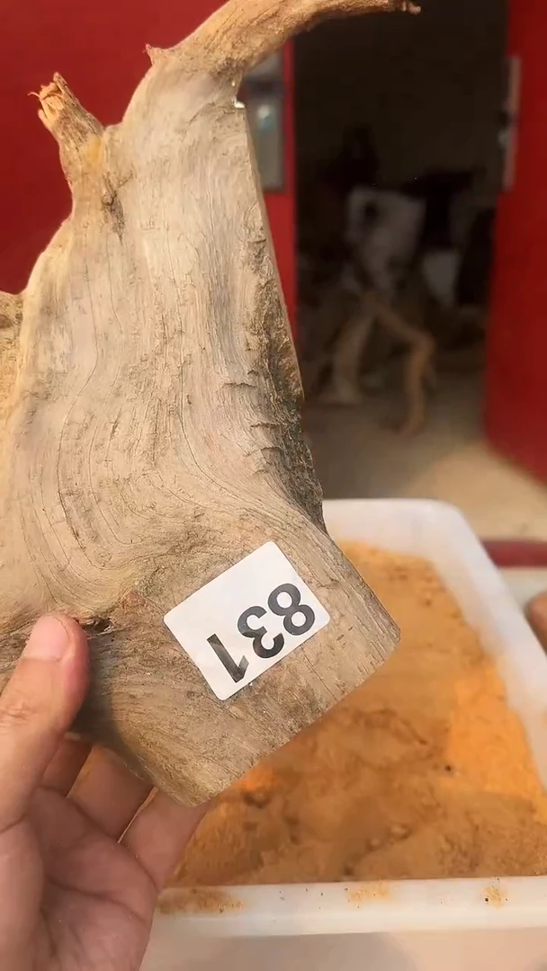 柏木（崖柏）太行陈化崖柏切片！随机（1单1片）831