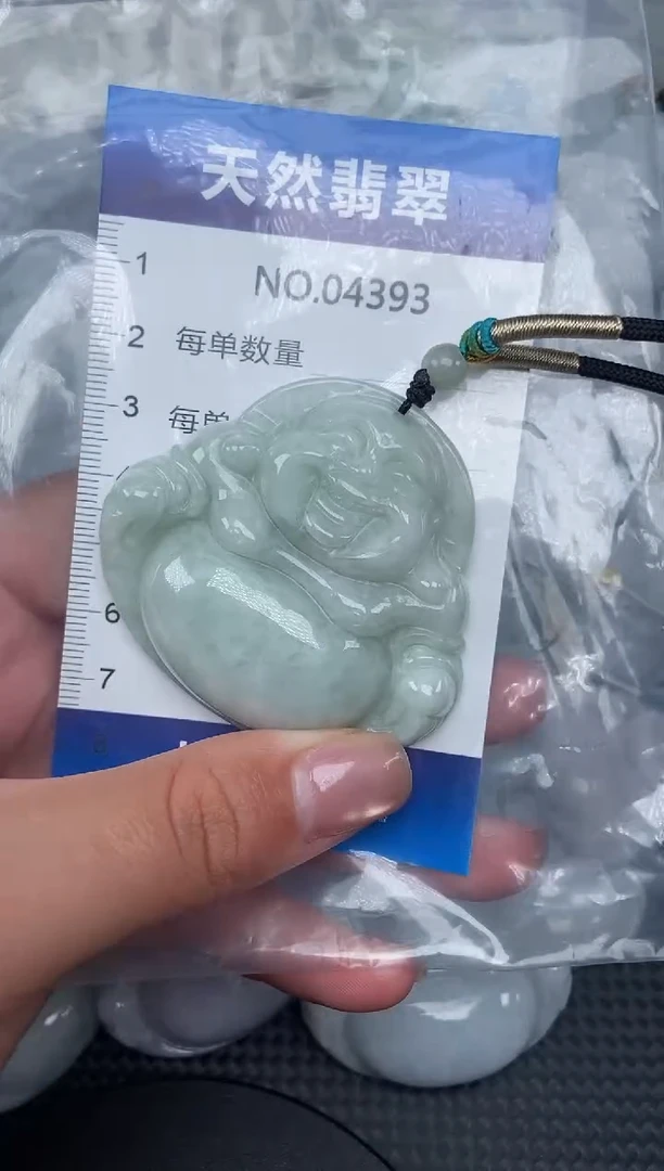 颈饰未镶嵌翡翠纯天然A货翡翠4393