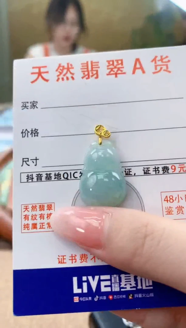 颈饰未镶嵌翡翠天然A货翡翠挂件