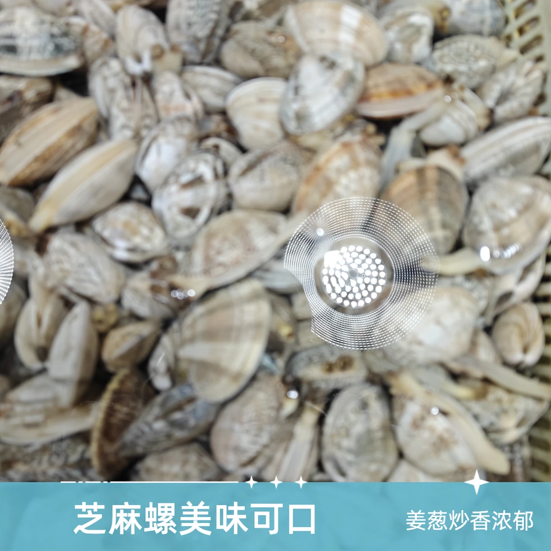 姜葱炒芝麻螺500g