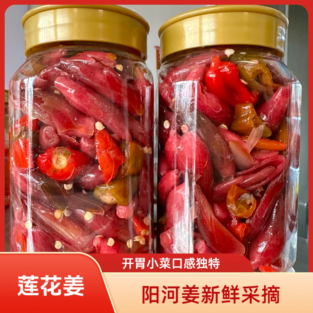 莲花姜 500g/瓶 阳荷姜 露天土菜 潜山特色下饭菜 包邮