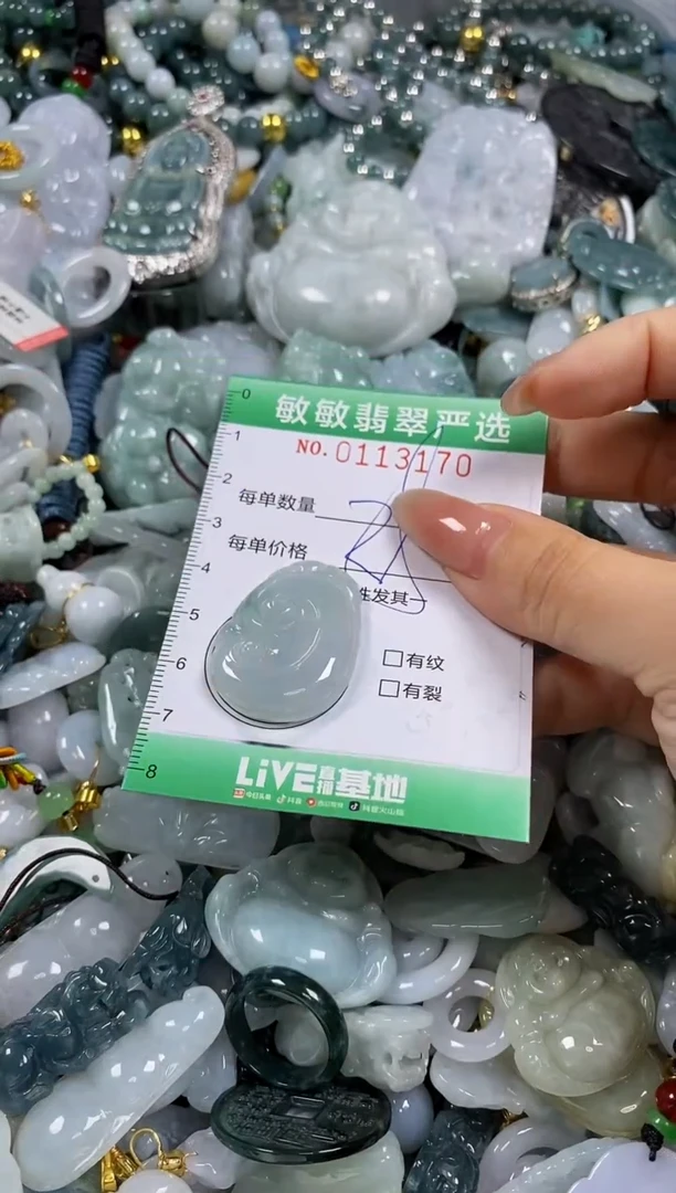 【闪购商品】翡翠颈饰未镶嵌闪购0113170