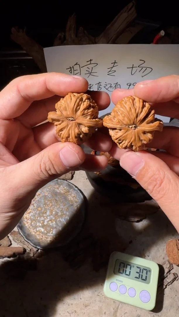 把件文玩核桃寻*乐38白狮子