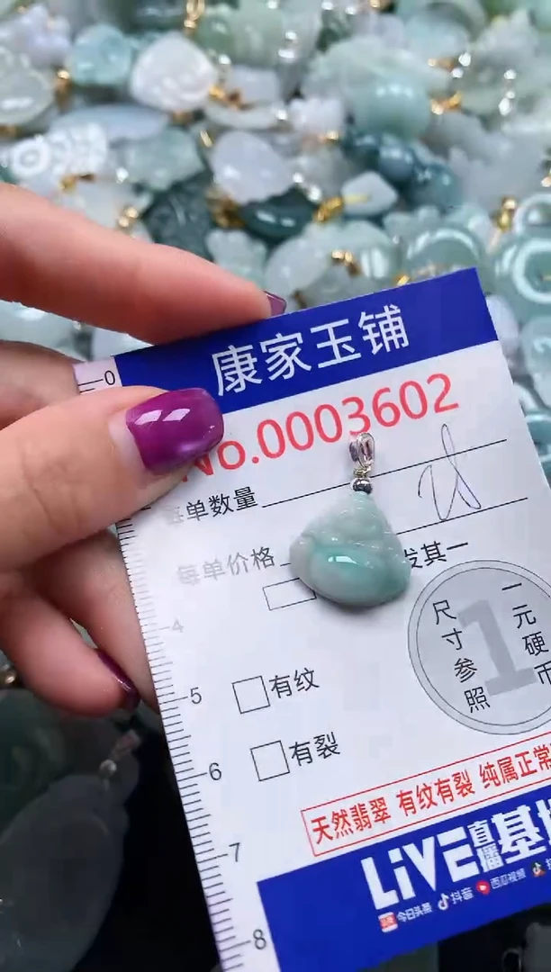 颈饰未镶嵌翡翠3602