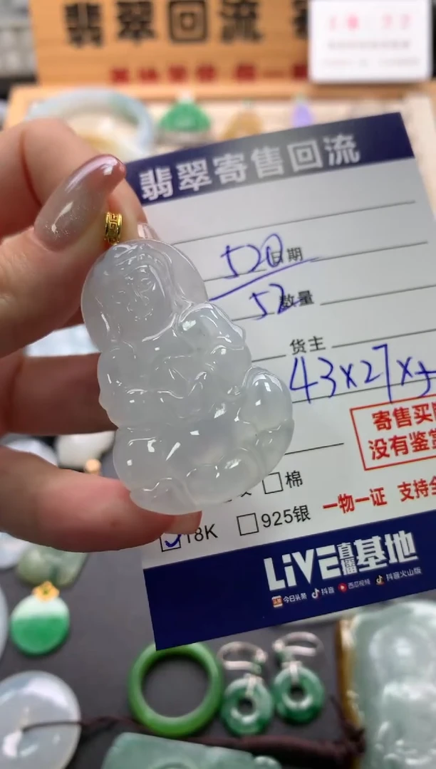 翡翠18K金镶嵌颈饰10140193