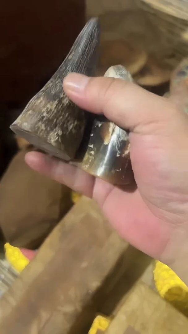 紫砂紫砂紫砂紫砂紫砂紫砂