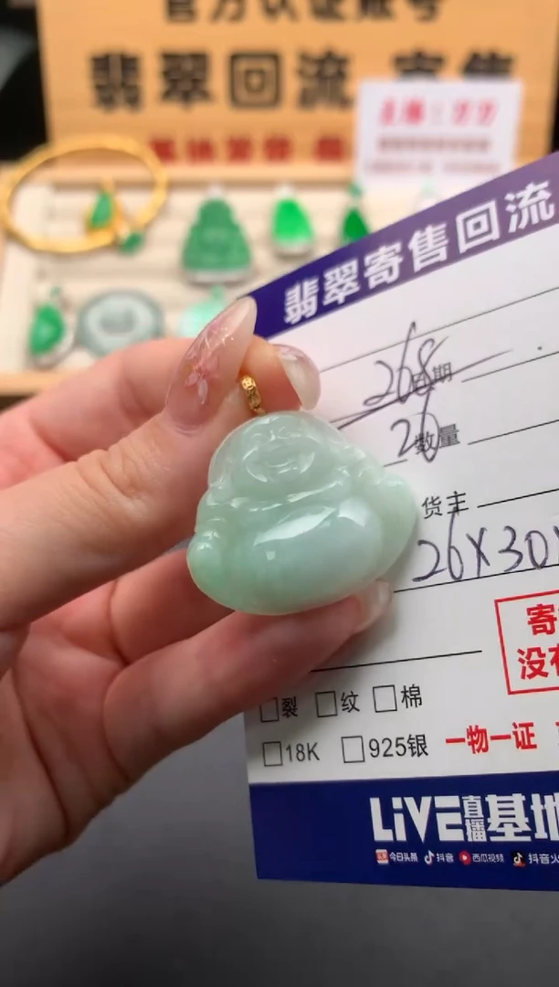 翡翠18K金镶嵌颈饰10134342