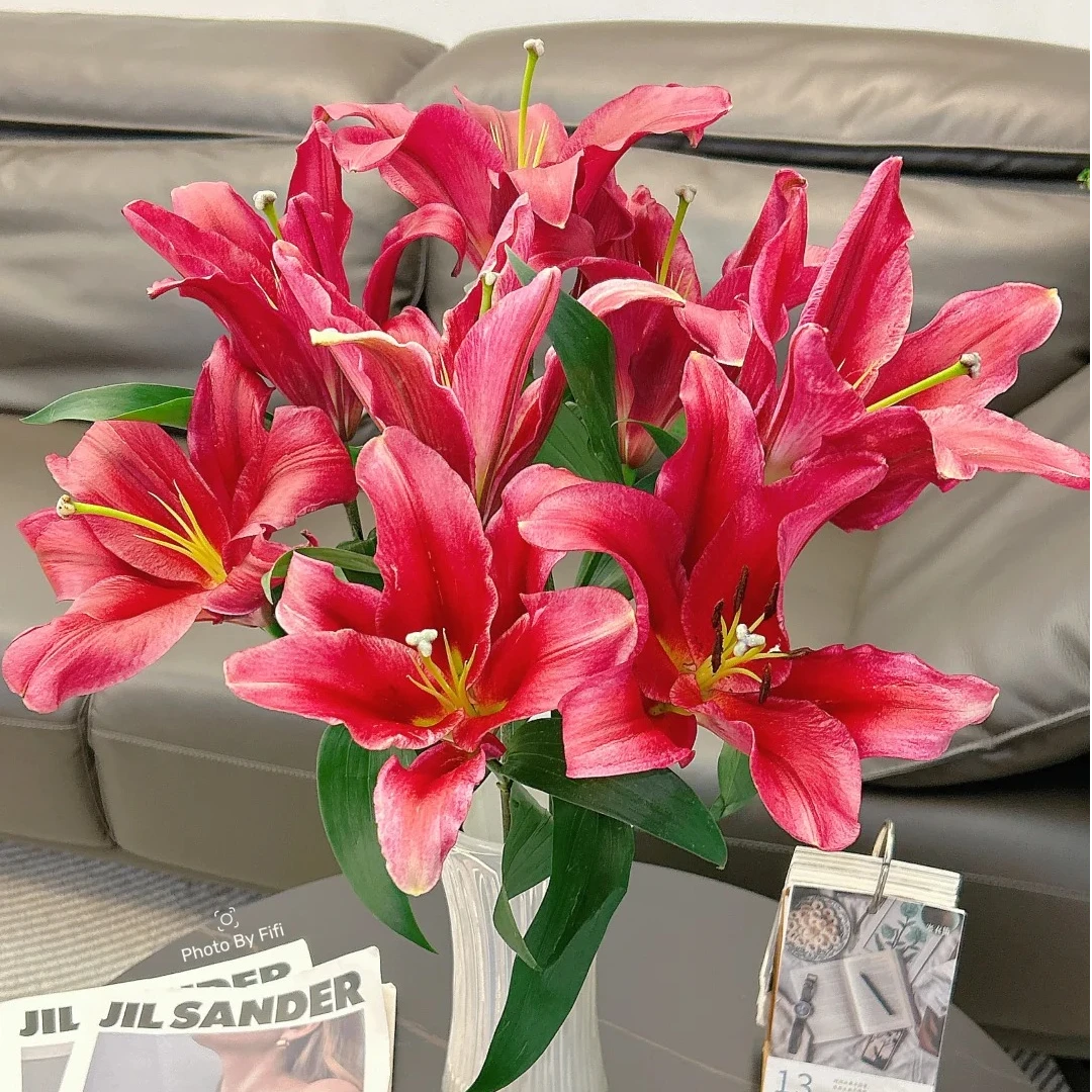 【永恒的爱】香水百合 一单包邮 云南鲜花昆明基地现采现发