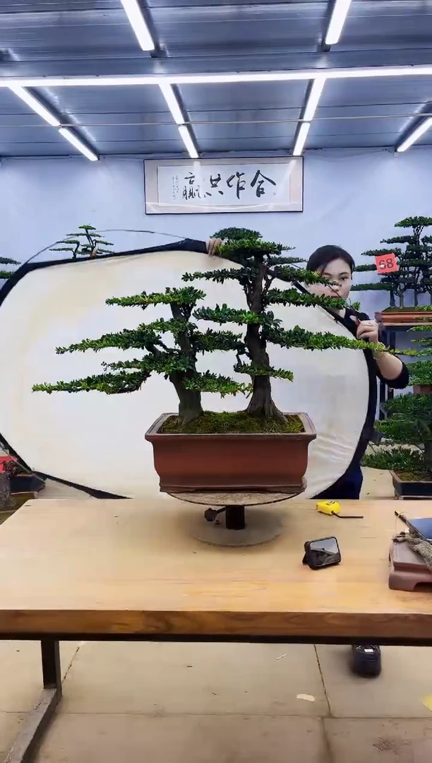 无花朵一物一拍，所见即所得