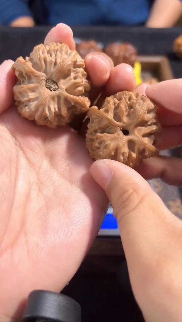 把件核桃44尺全品苹果园