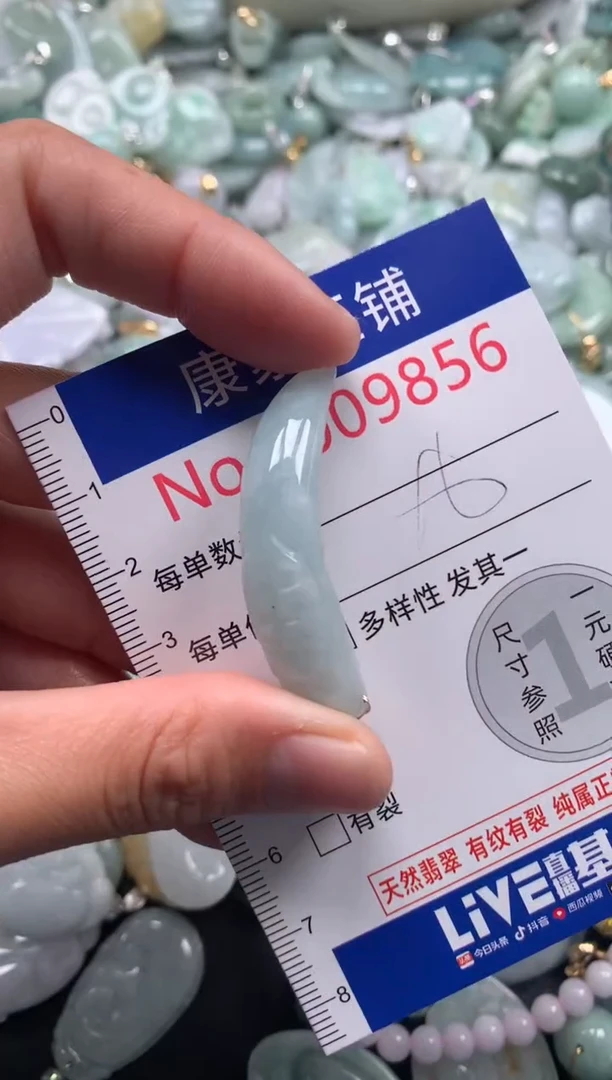 颈饰未镶嵌翡翠9856