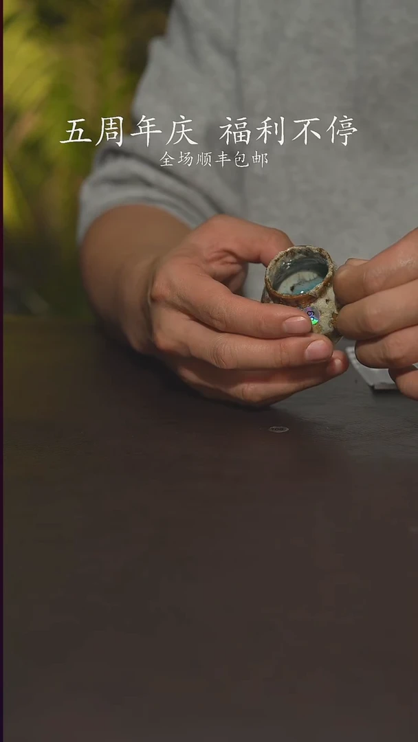 老柴叶烧不退不换109