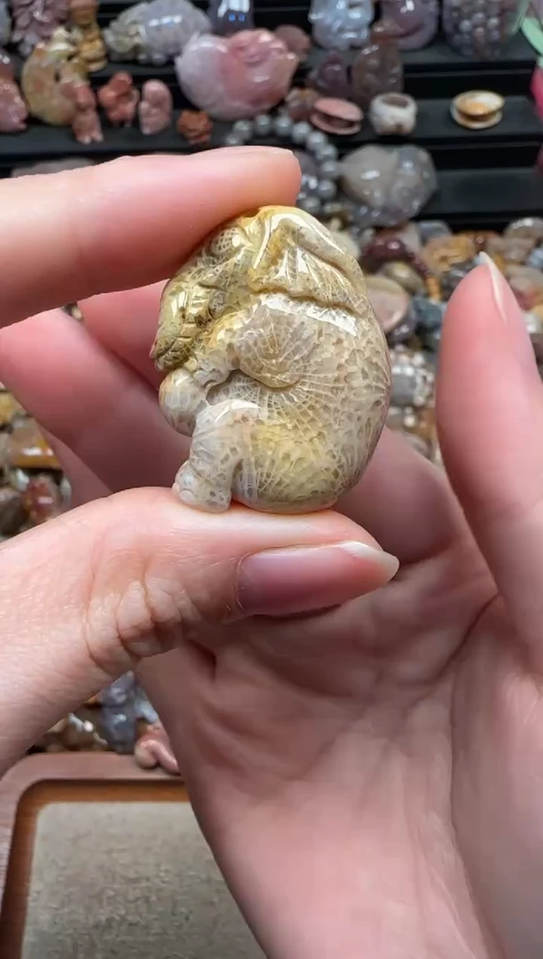 颈饰未镶嵌硅化珊瑚（珊瑚玉）721