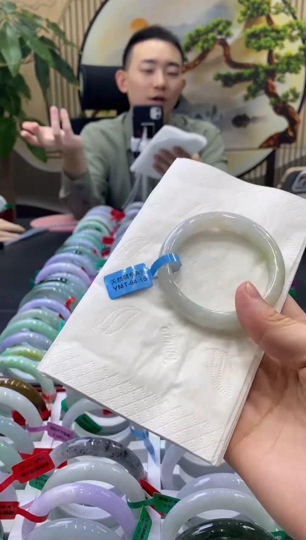 未镶嵌手镯翡翠1881