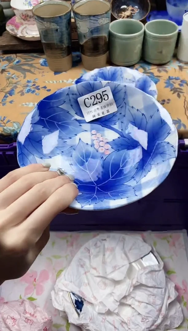 瓷片?***?                C295