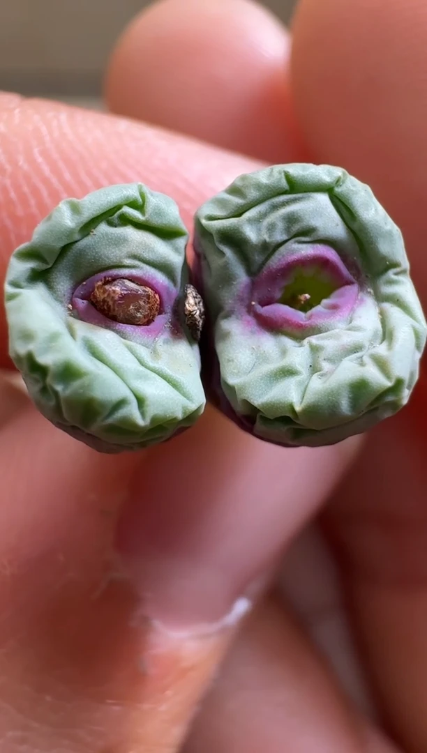 【闪购商品】1.20-281