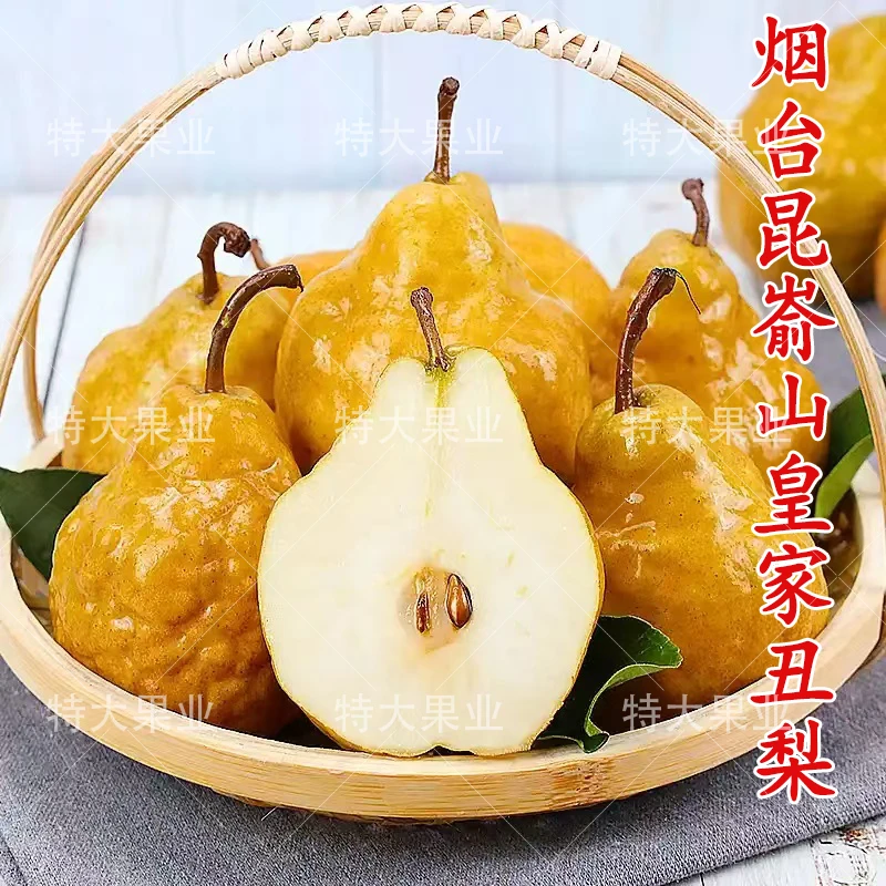 【A级精品果放软吃】烟台昆嵛山皇家丑梨新鲜软糯香甜冰激凌梨水果