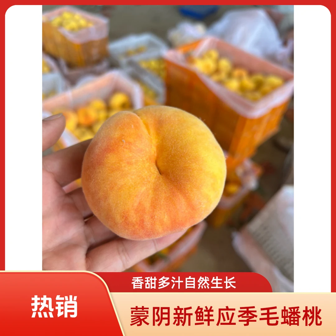 蒙阴新鲜应季毛蟠桃香甜多汁自然生长毛蟠桃