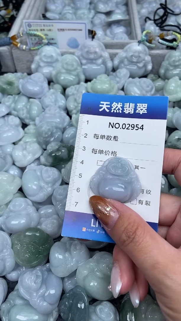 颈饰未镶嵌翡翠纯天然A货翡翠2954