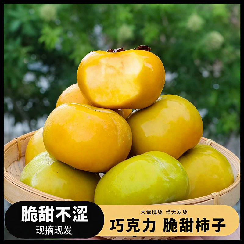 【净重4.5斤】山西正宗巧克力脆柿甜脆柿子应季水果现摘