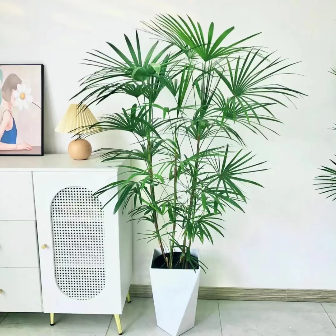 大型棕竹金山棕室内植物客厅植物办公室盆栽