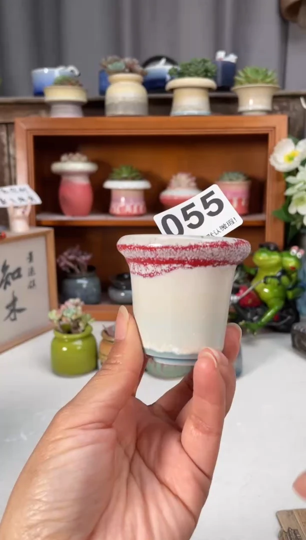 瓷片055小芳直播编号