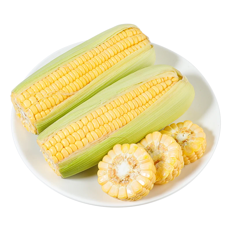 一级水果甜玉米两根约800g黄糯玉米广东省