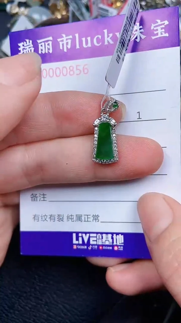 颈饰银S925镶嵌翡翠0856