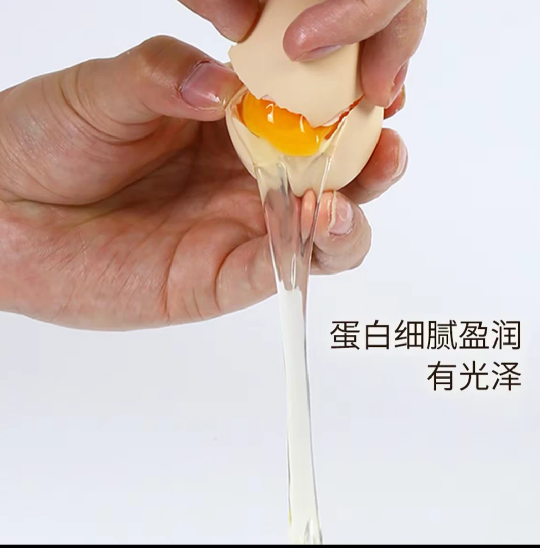 初生草鸡蛋初生土鸡蛋「天燕家庭农场」嫌小勿拍，35左右/枚