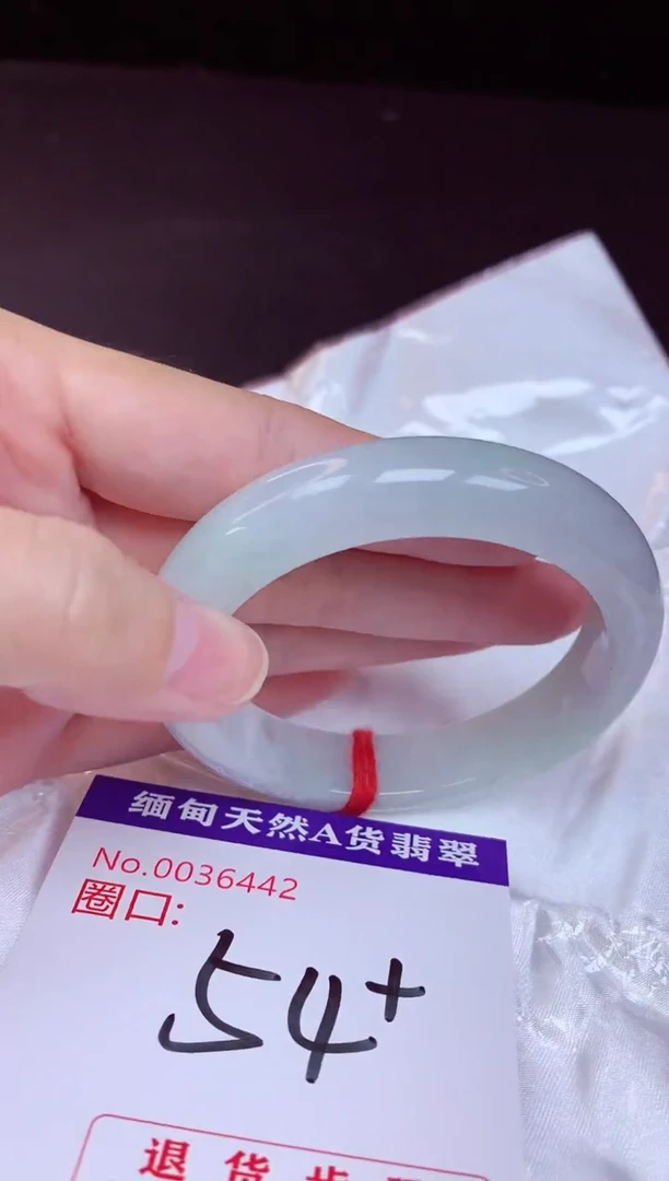 未镶嵌手镯翡翠54