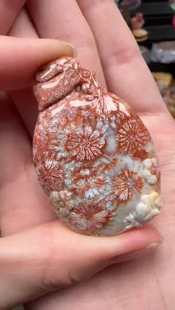 颈饰未镶嵌硅化珊瑚（珊瑚玉）562