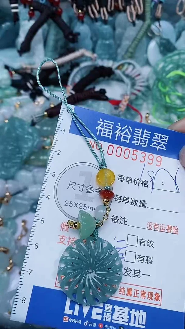 【闪购商品】翡翠颈饰未镶嵌...0005399