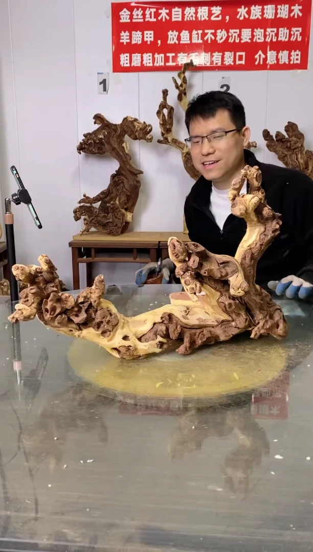 【闪购商品】木枯树摆件 粗磨粗加工半成品 毛料