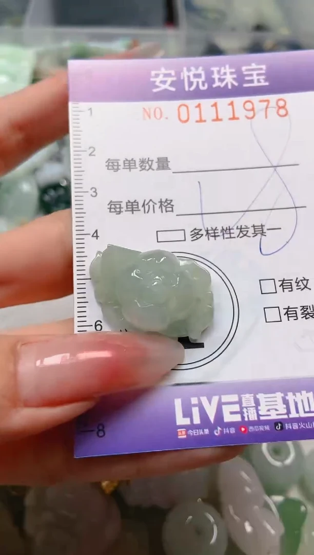 【闪购商品】翡翠颈饰未镶嵌闪购0111978