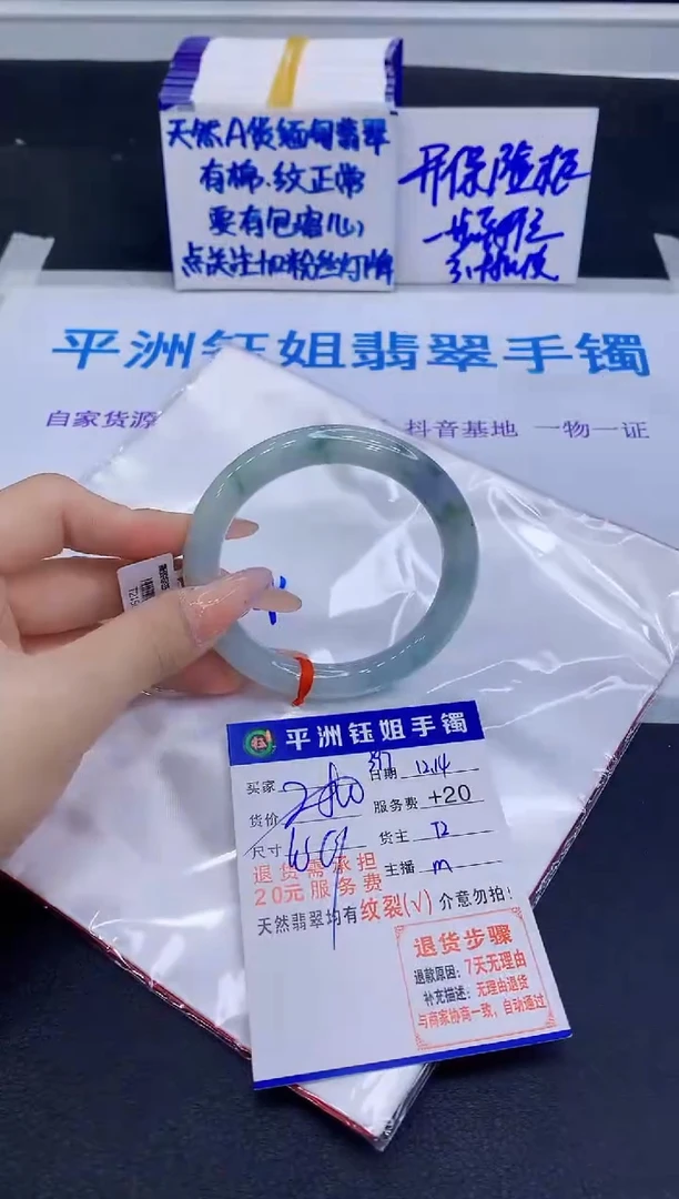 未镶嵌手镯翡翠11111
