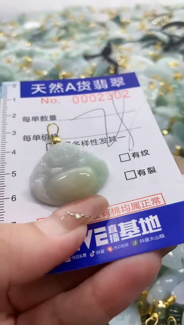 颈饰未镶嵌翡翠天然A货翡翠