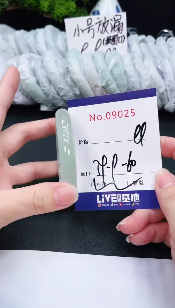 未镶嵌手镯翡翠9025